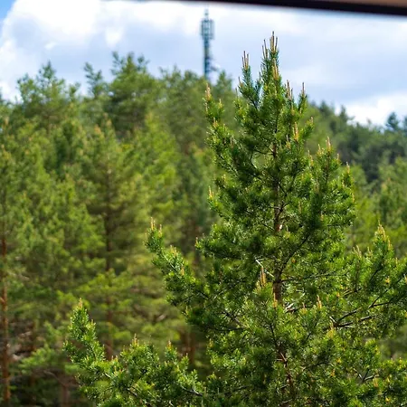 Daire Pekovic, Pine Trees View With Big Balcony In The Center Of Zlatibor! *