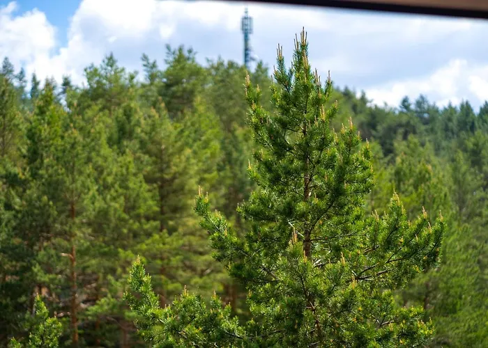 アパート Pekovic, Pine Trees View With Big Balcony In The Center Of Zlatibor! *