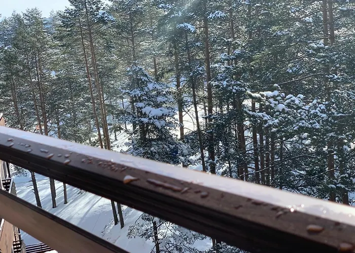 Pekovic, Pine Trees View With Big Balcony In The Center Of Zlatibor! Daire
